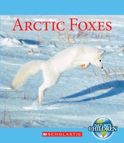 Picture of ARCTIC FOXES